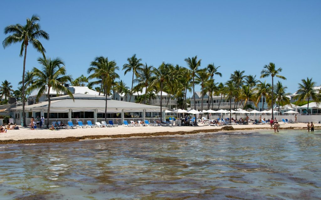 Palm-lined Caribbean beach, the destination guests book direct