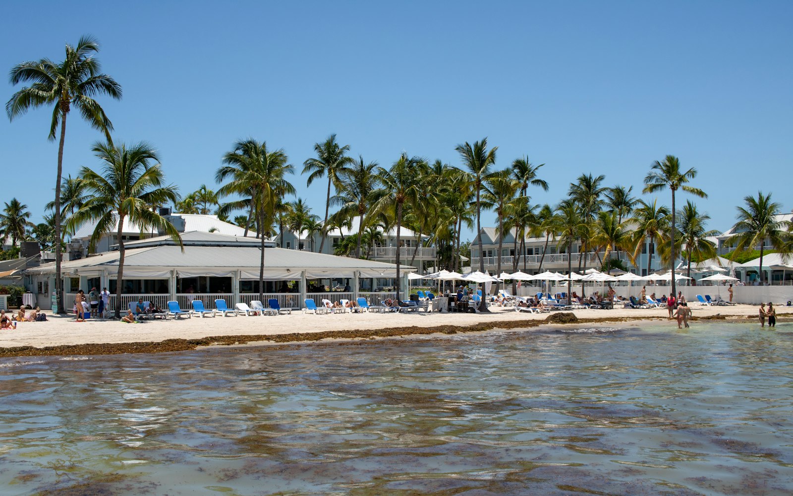 Palm-lined Caribbean beach, the destination guests book direct (direct booking strategy)