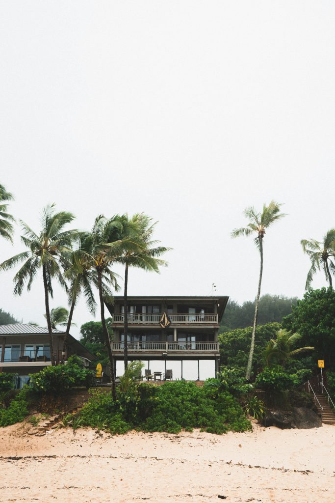 Palm trees beside a rental property run on Guesty alternatives