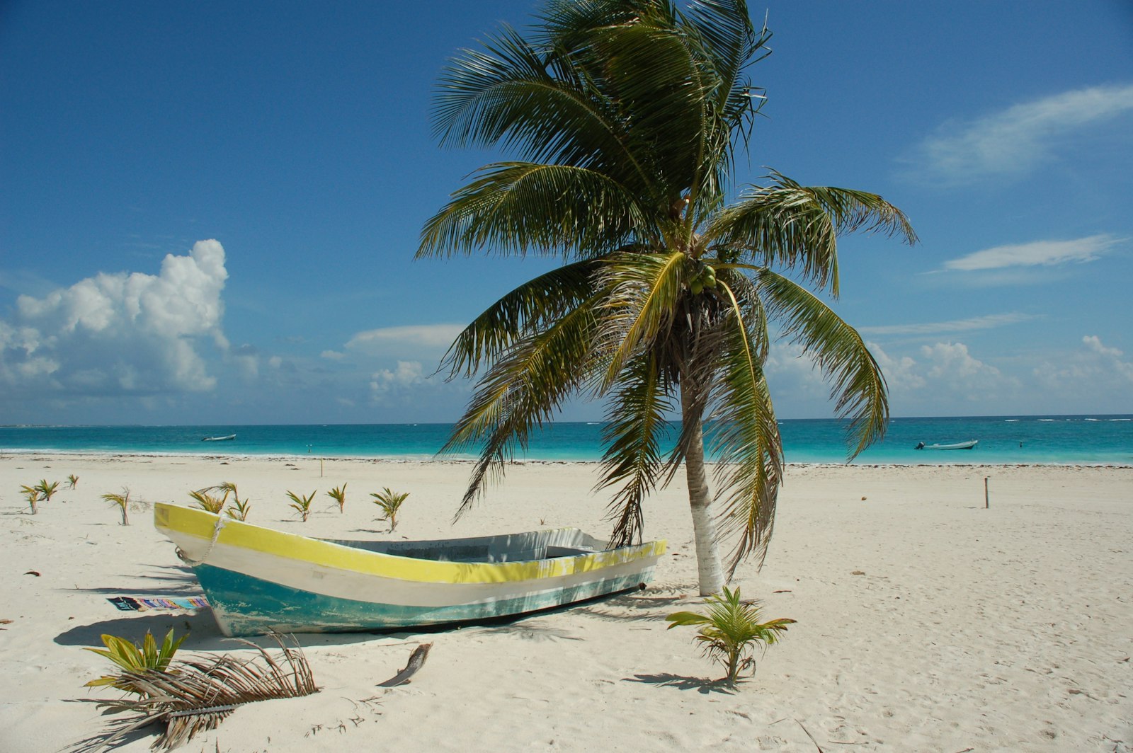 Excursion boat near shore, booked through tour operator software