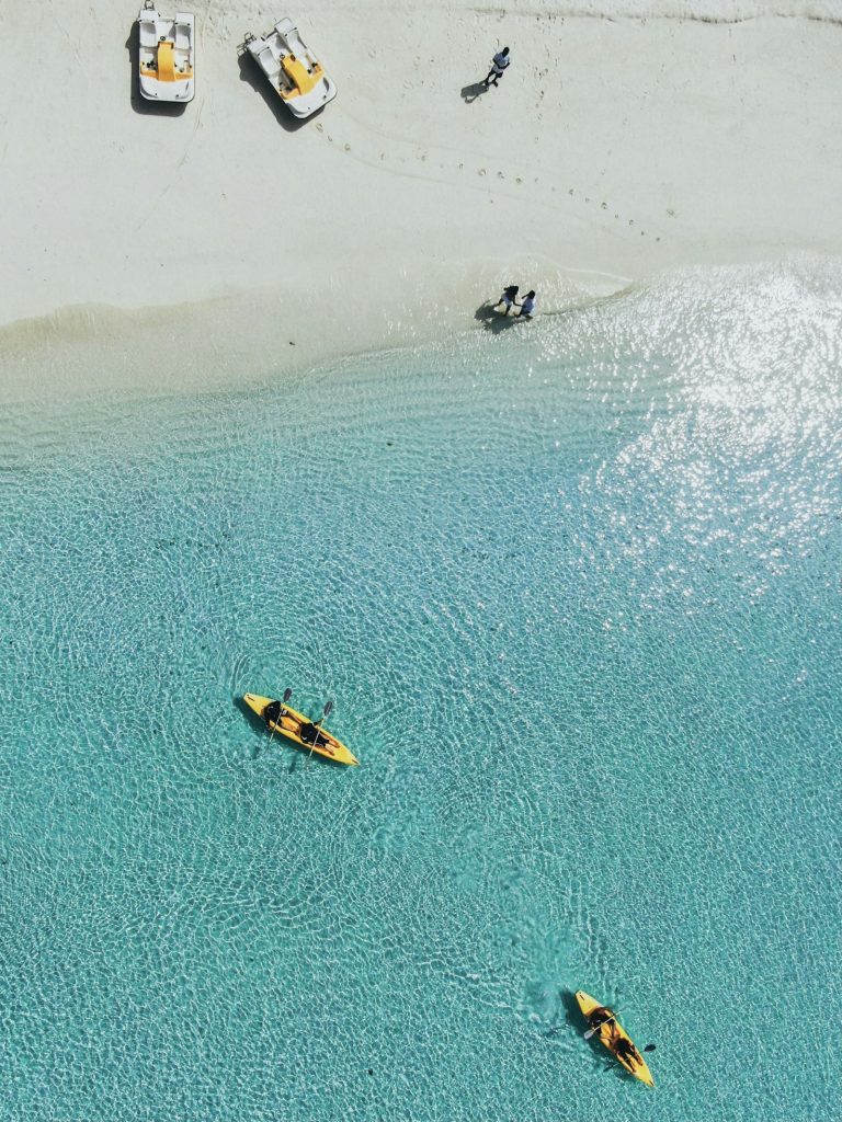 Guests kayaking on a tour priced around the Viator commission rate