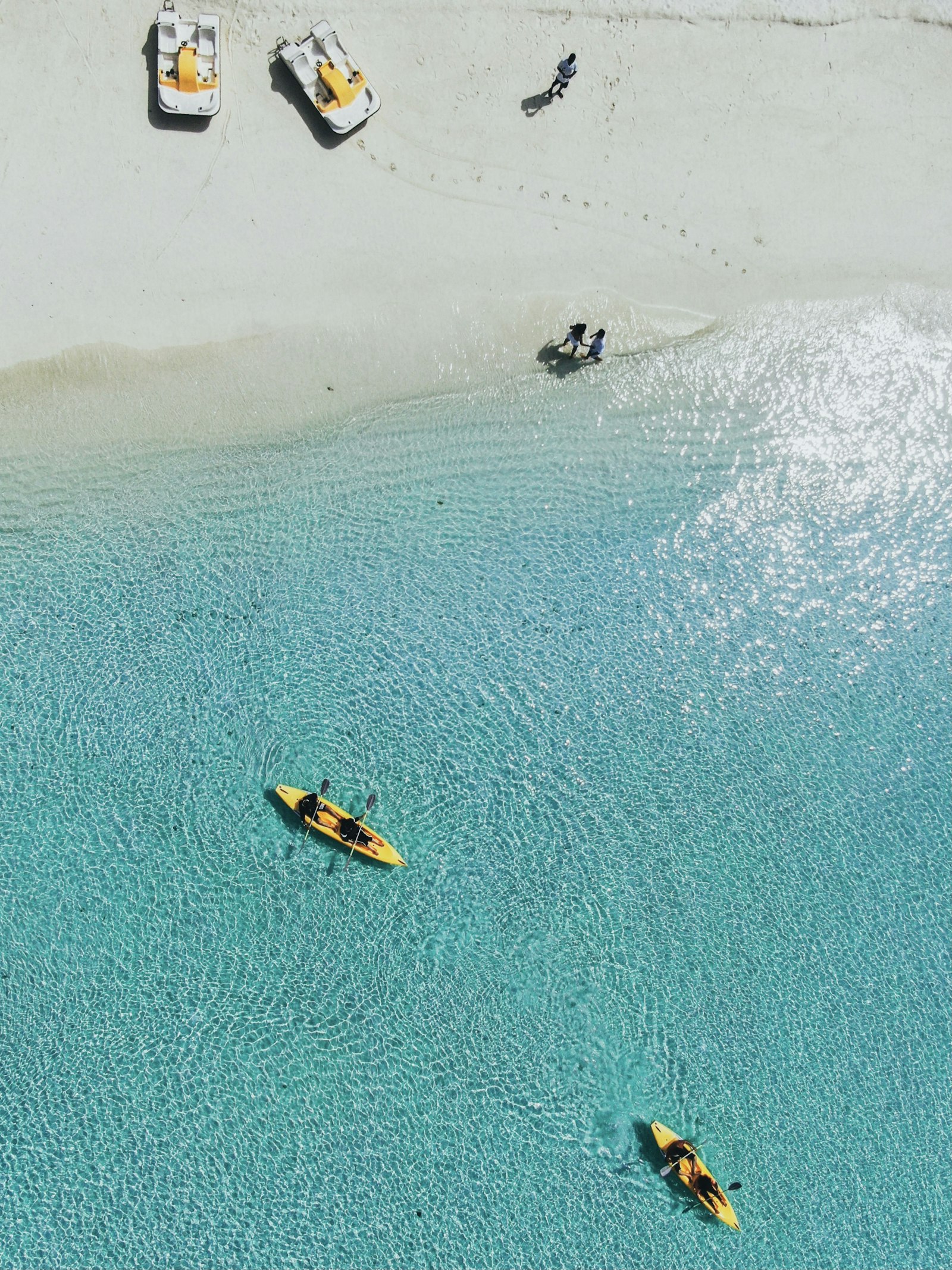 Guests kayaking on a tour priced around the Viator commission rate