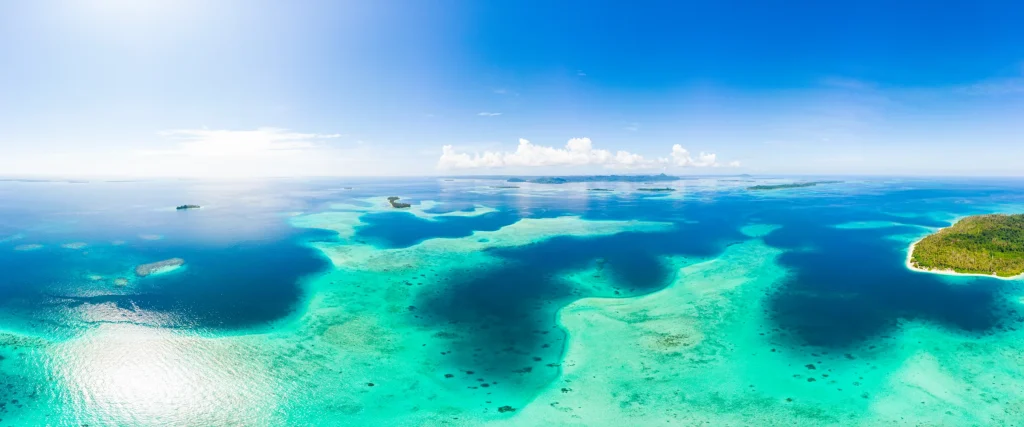 Aerial view of a Caribbean reef system, with clear turquoise shallows and deeper channels running between sandbars