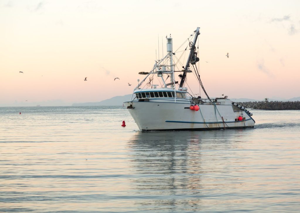 how to start a fishing charter business charter boat returning to the marina at dawn